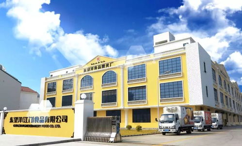 給力 江澳合作成效引人矚目 夢想在此啟航